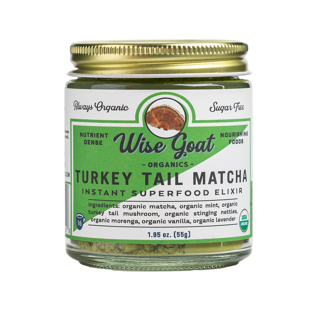 Turkey Tail Mint Matcha Superfood Powder